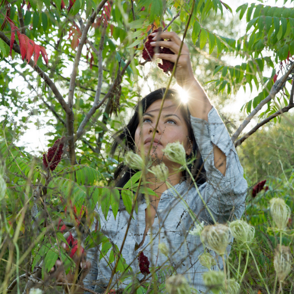 SUMAC HARVEST Matter Company