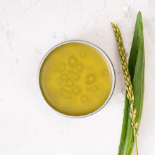 Load image into Gallery viewer, All Heal Salve - Matter Company