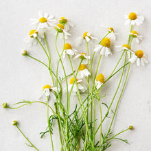 Load image into Gallery viewer, Baby Lip and Cheek Balm - Matter Company