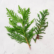 Load image into Gallery viewer, Bath Salts - Matter Company