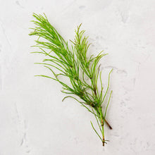 Load image into Gallery viewer, Hand Cream - Matter Company