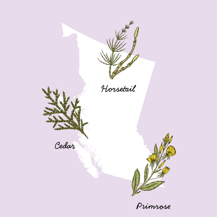 OUR HOME AND NATIVE PLANTS: WEST COAST
