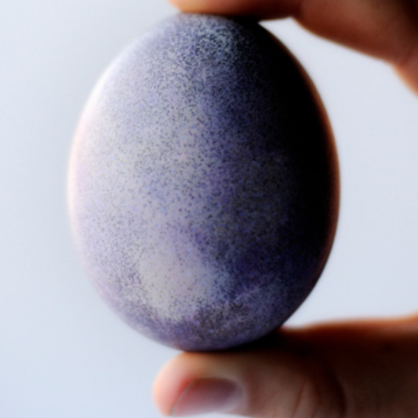 DYEING EGGS NATURALLY