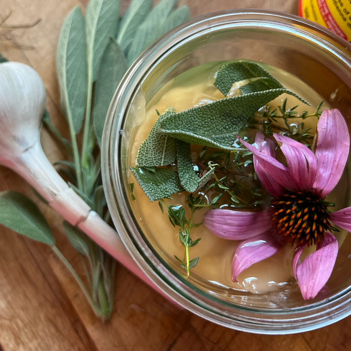 Let's Talk: Herbal Oxymel for Cold and Flu Season